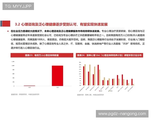 PG平台电子游戏问鼎：全面解析其行业地位与未来发展趋势